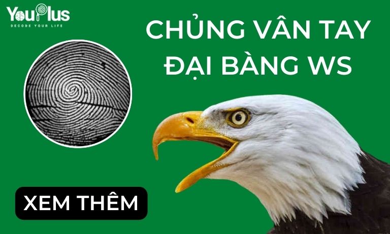 CHỦNG VÂN TAY ĐẠI BÀNG WS