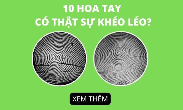 10 hoa tay có thật sự khéo léo