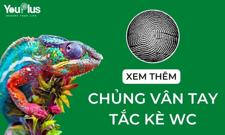 CHỦNG VÂN TAY TẮC KÈ WC